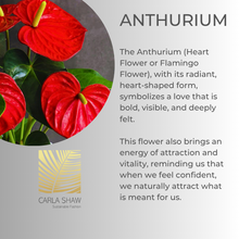 Load image into Gallery viewer, Mini Anthurium Earrings