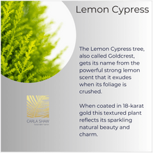 Load image into Gallery viewer, Lemon Cypress Leaf Earrings
