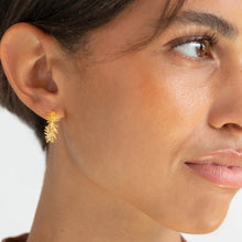 Load image into Gallery viewer, Lemon Cypress Mini Hoops