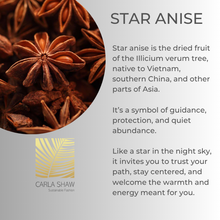 Load image into Gallery viewer, Star Anise Bracelet
