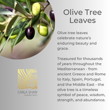 Load image into Gallery viewer, Olive Leaf Earrings
