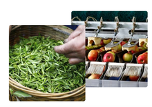 Load image into Gallery viewer, SLIM CARD HOLDER - GREEN
