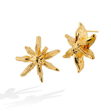 Load image into Gallery viewer, Star Anise Earrings
